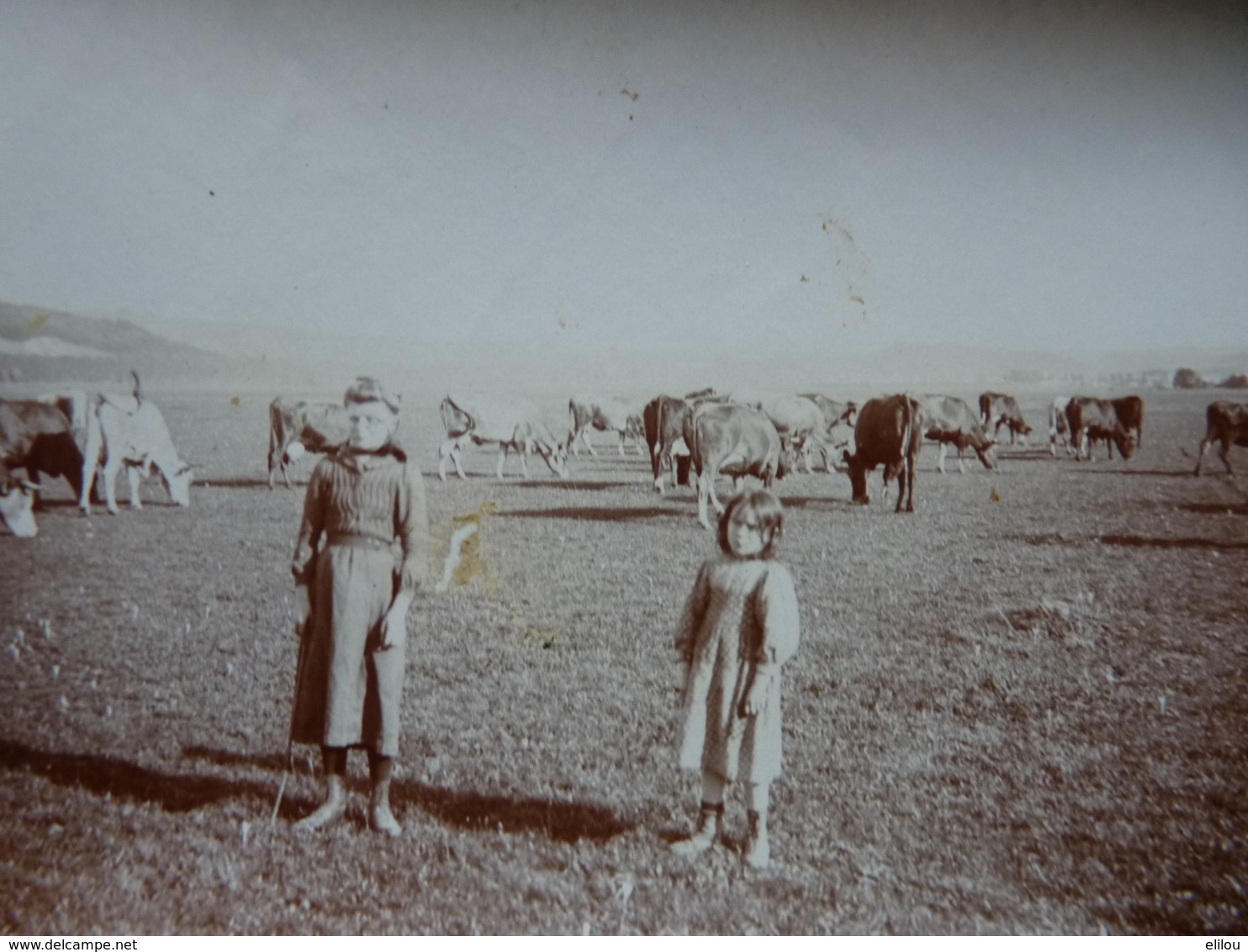 Rare! Photo Ancienne 1908 Saint Mihiel Meuse 55 ! Bergères Des Paroches - Saint Mihiel