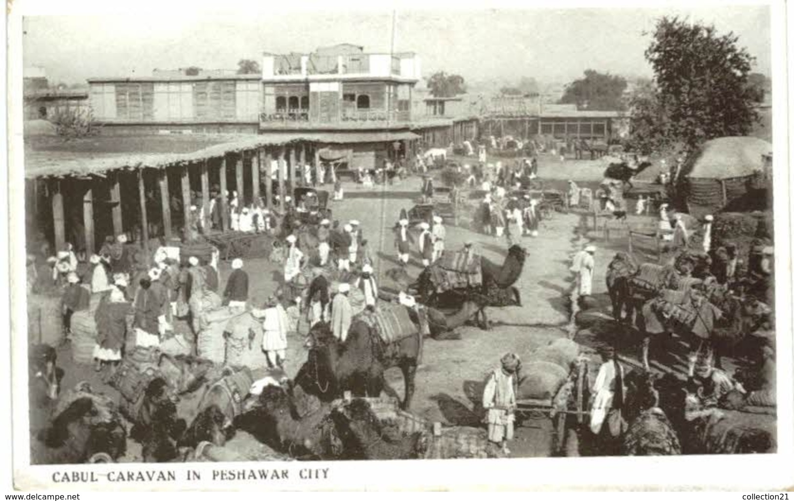 CABUL ... CARAVAN IN PESHAWAR CITY - Pakistan