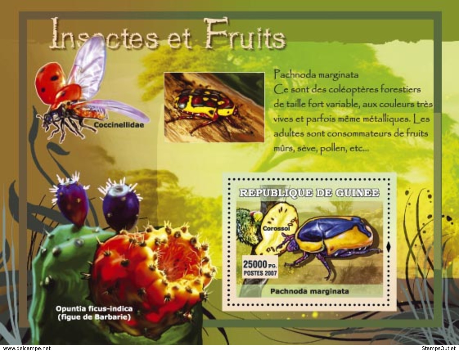 Guinea 2007 MNH - Insectes Et Fruits / Insects And Fruits. YT 558, Mi 4761/BL1215 - Guinea (1958-...)