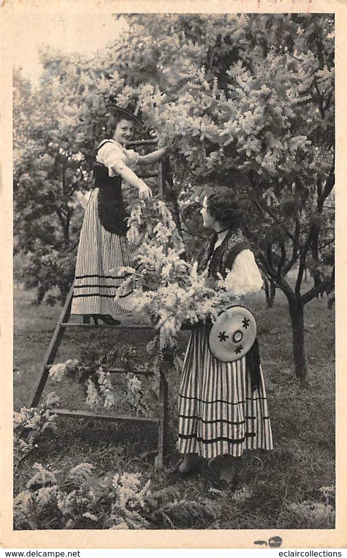 Thème  Métiers .    Agriculture .. Côte D'Azur    La Cueillette Du Mimosas      Lot De 3 Cartes (voir Scan) - Culture