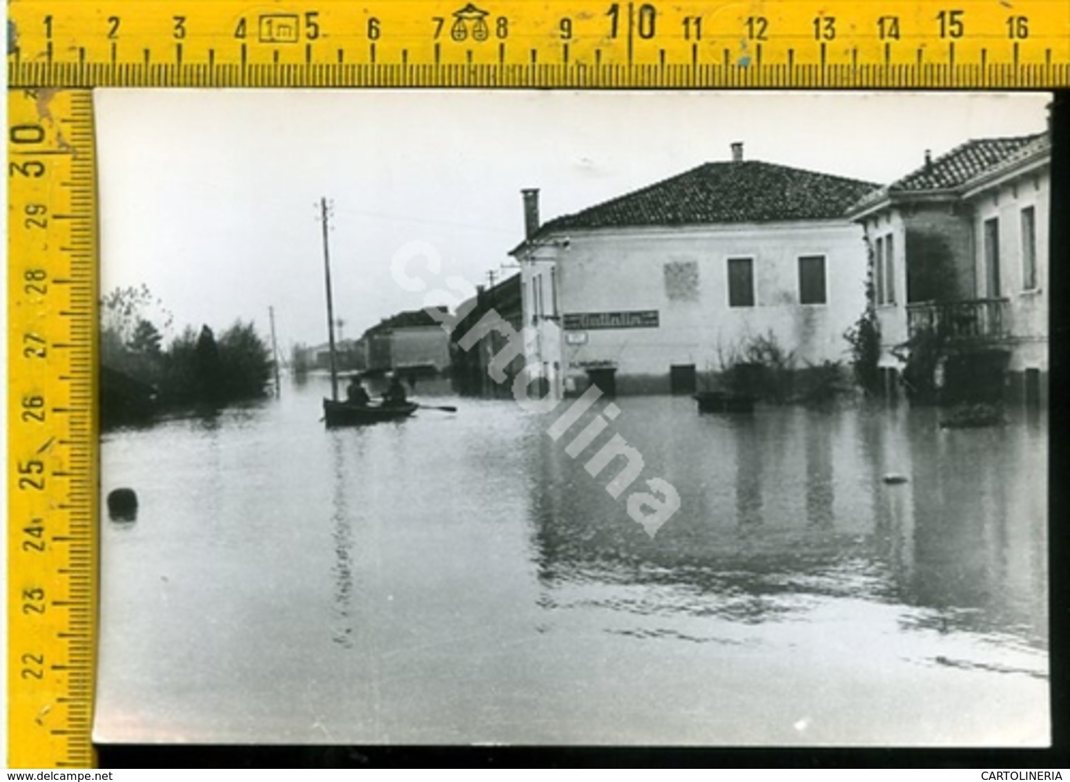 Rovigo Città Alluvione Novenbre 1951 - Rovigo