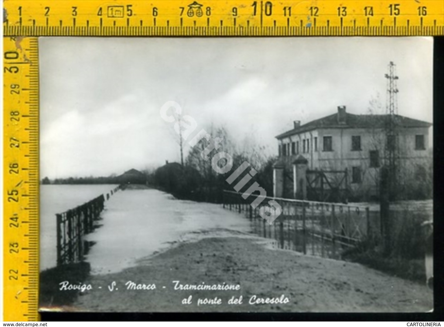 Rovigo Alluvione 1951 S. Marco Trancimazione Al Ponte Del Ceresolo - Rovigo