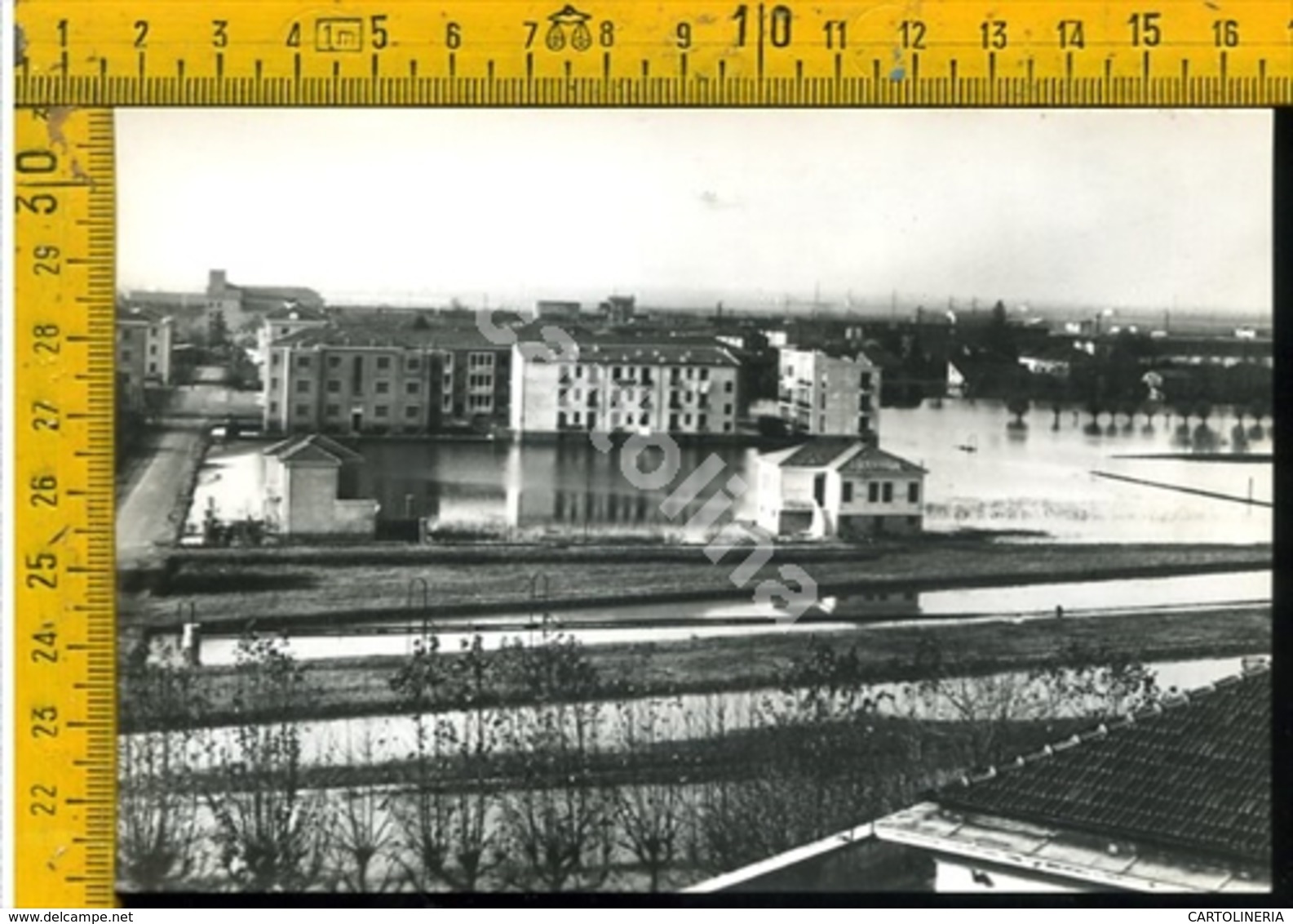 Rovigo Commenda Alluvione Novembre 1951 - Rovigo