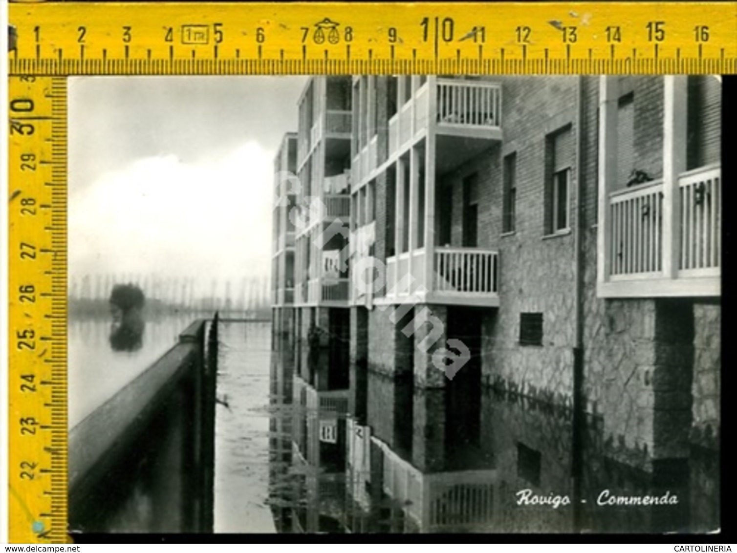 Rovigo Commenda Alluvione Novembre 1951 - Rovigo