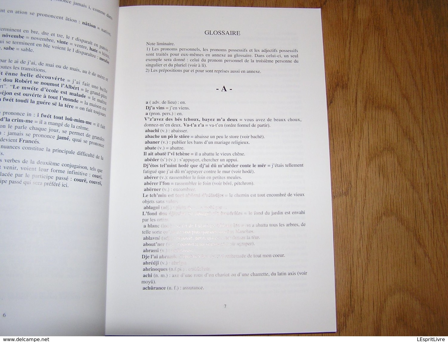 L'PATOIS D'BOUYON Le Patois de Bouillon Régionalisme Ardenne Parler Wallon Dialecte Sobriquets Expressions Wallonnie