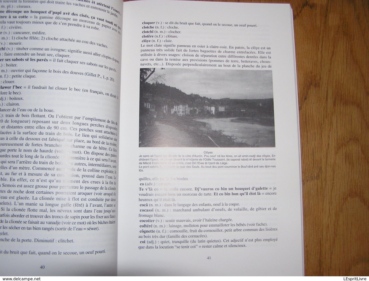 L'PATOIS D'BOUYON Le Patois de Bouillon Régionalisme Ardenne Parler Wallon Dialecte Sobriquets Expressions Wallonnie