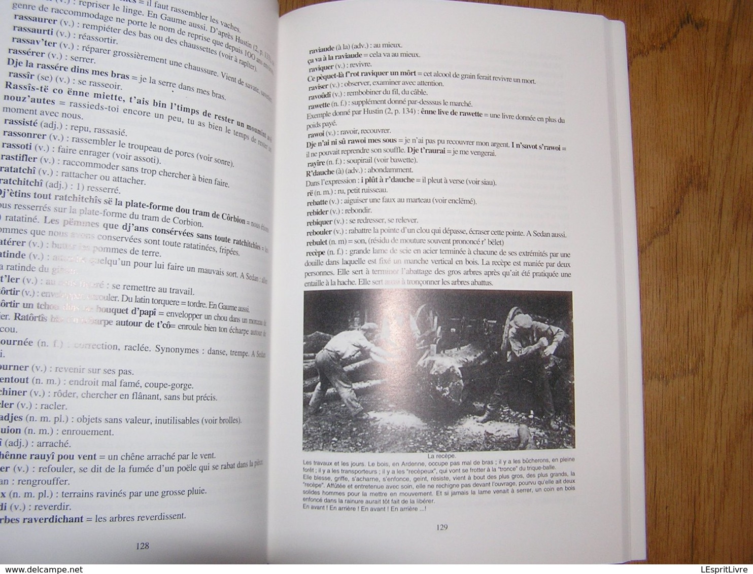 L'PATOIS D'BOUYON Le Patois de Bouillon Régionalisme Ardenne Parler Wallon Dialecte Sobriquets Expressions Wallonnie