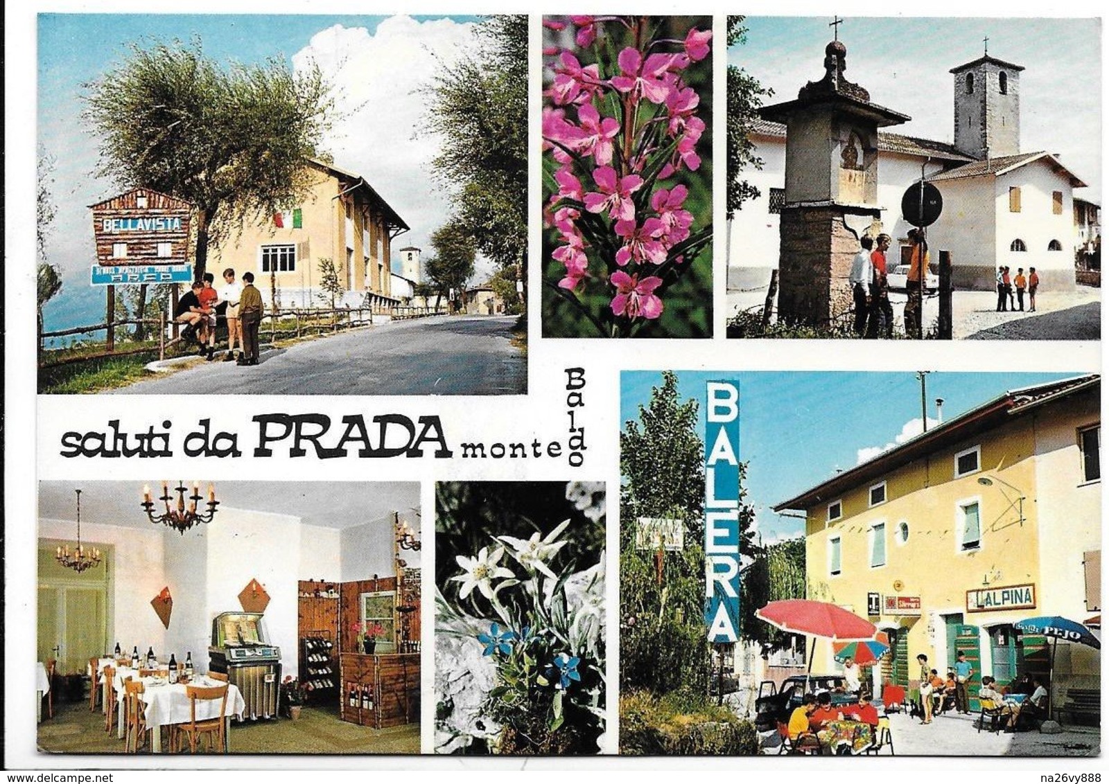 Saluti Da Prada Di Brentonico (Trento). Trattoria All'Alpina - Insegna Sali E Tabacchi In Basso A Destra. - Trento