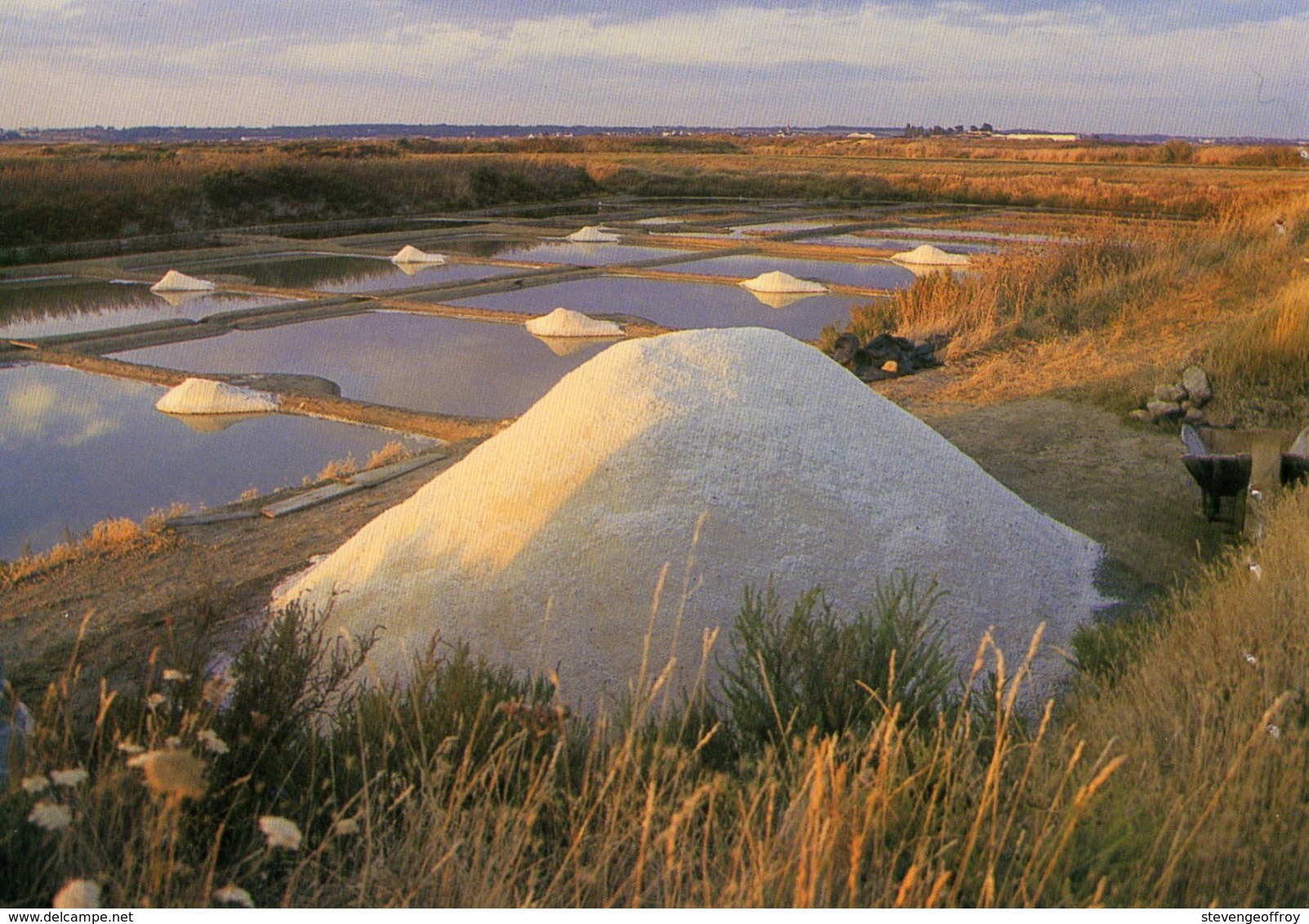 44 Guerande / Presque Ile / Une Saline / Mulon De Sel Devant Les Oeillets De Ramassage - Guérande