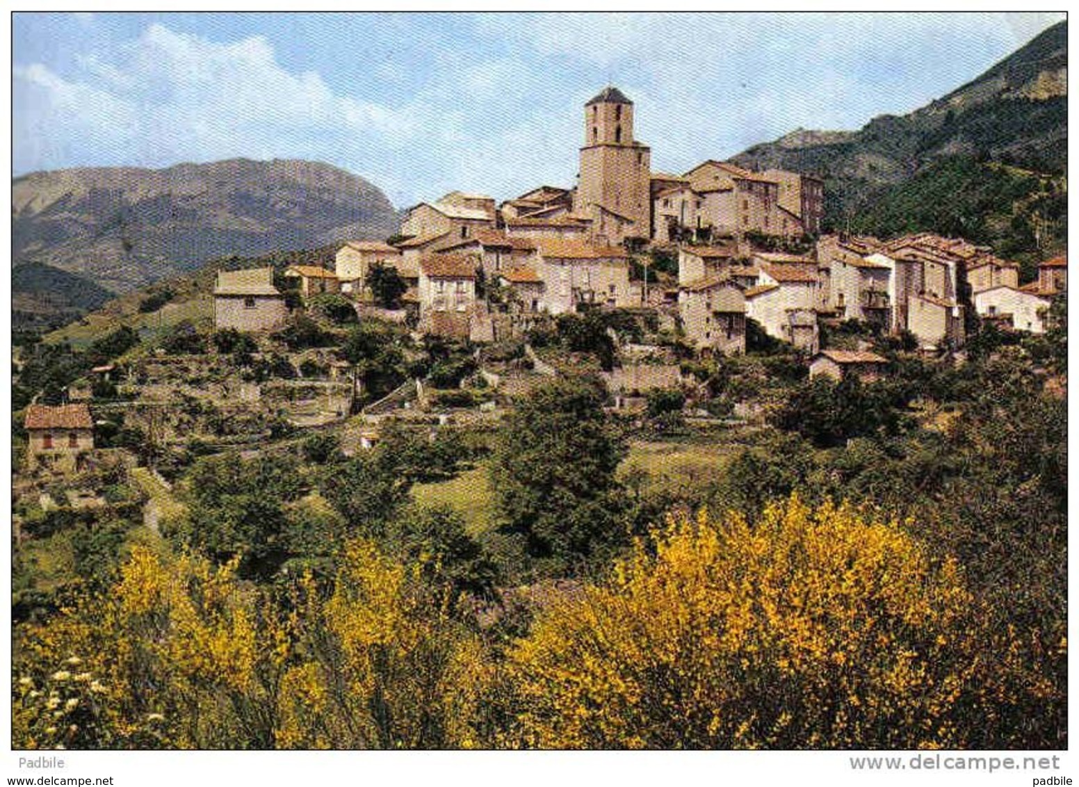 Carte Postale 04.  Thoard  Trés Beau Plan - Autres & Non Classés