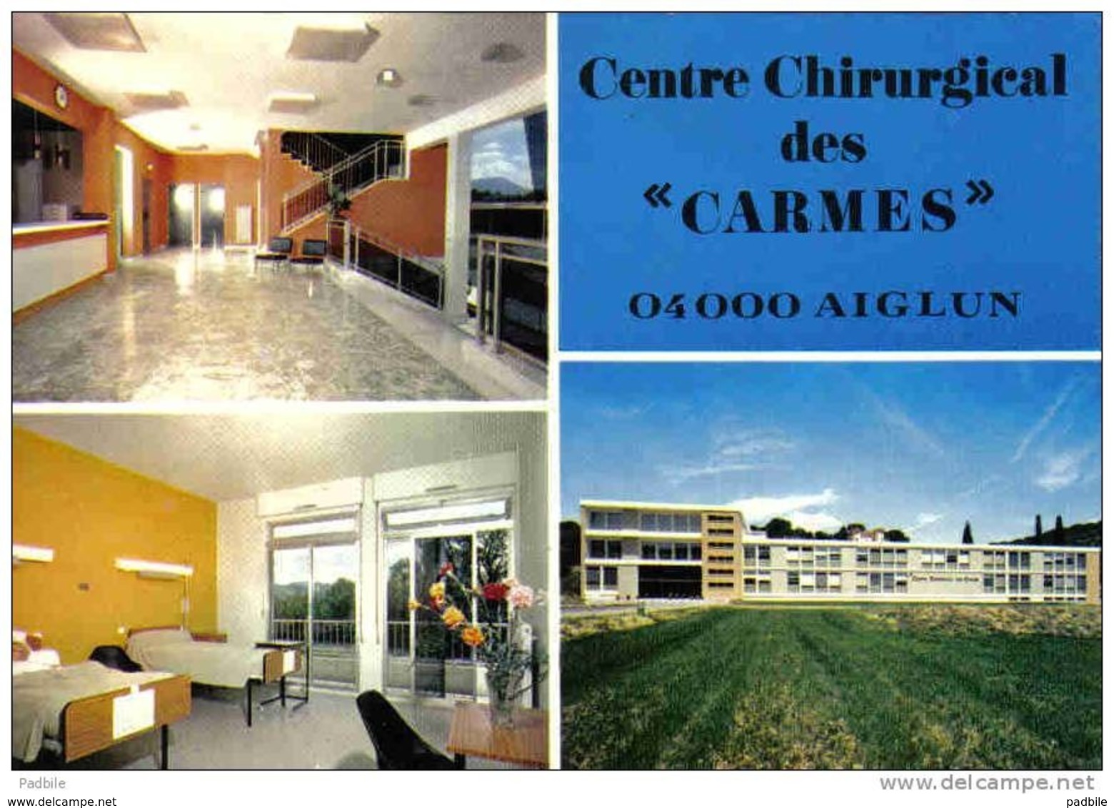 Carte Postale 04.  Aiglun  Centre Chirurgical Des "Carmes"  Trés Beau Plan - Autres & Non Classés