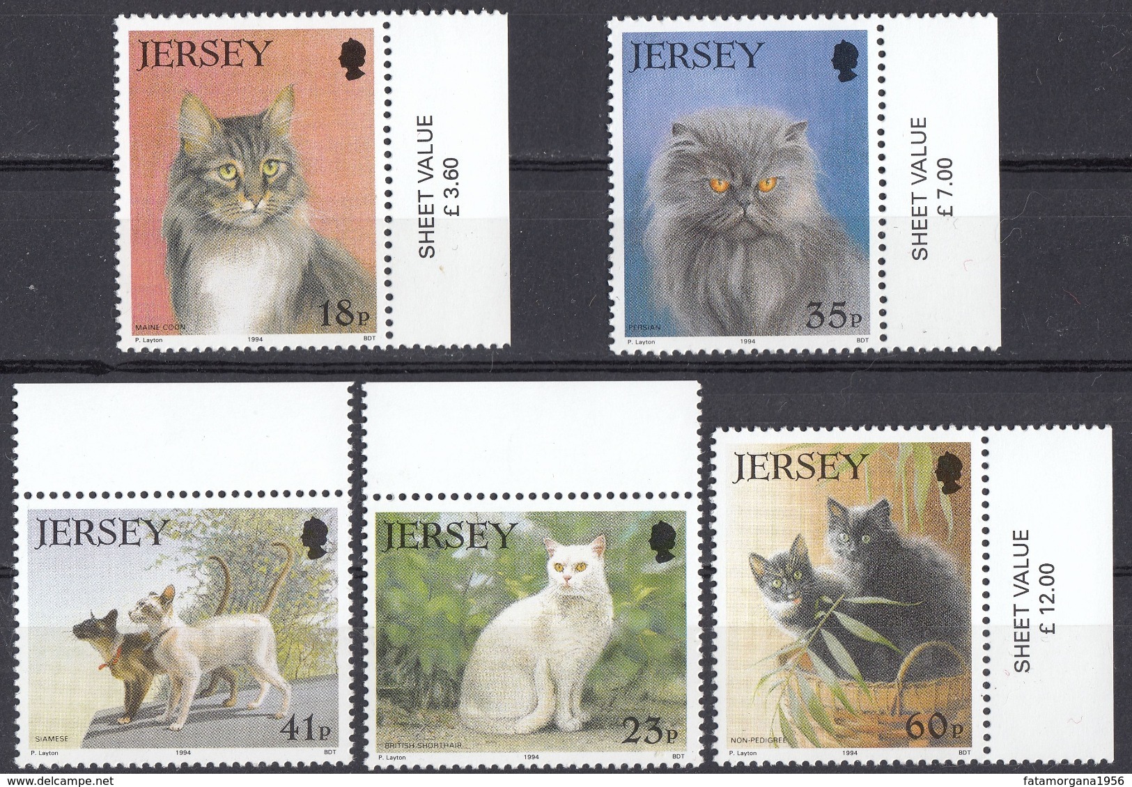 JERSEY - 1994 - Serie Completa Nuova MNH, Di 5 Valori, Yvert 639/643, Raffiguranti Gatti Di Razza  E Comuni. - Jersey