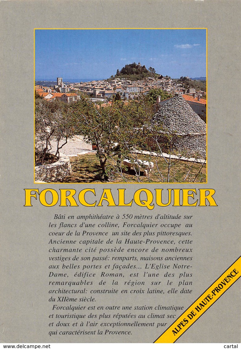 CPM - 04 - FORCALQUIER - Forcalquier