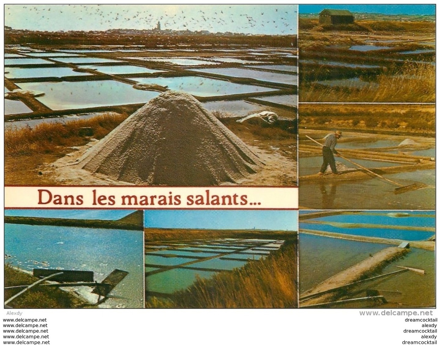 Photo Cpsm Cpm METIERS DE LA MER. Marais Salants. Paludiers. Sel Et Mulons. De Dreffeac 1994 - Pêche