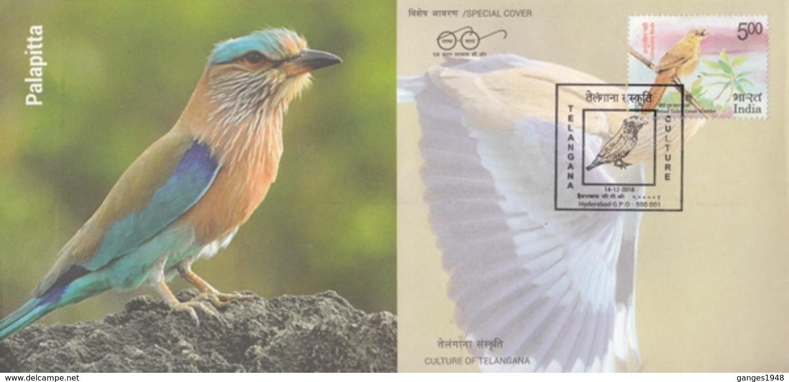 India  2018  Birds  Indian Roller Bird  Hyderabad  Special Cover  # 23363 D  D Inde  Indien - Songbirds & Tree Dwellers