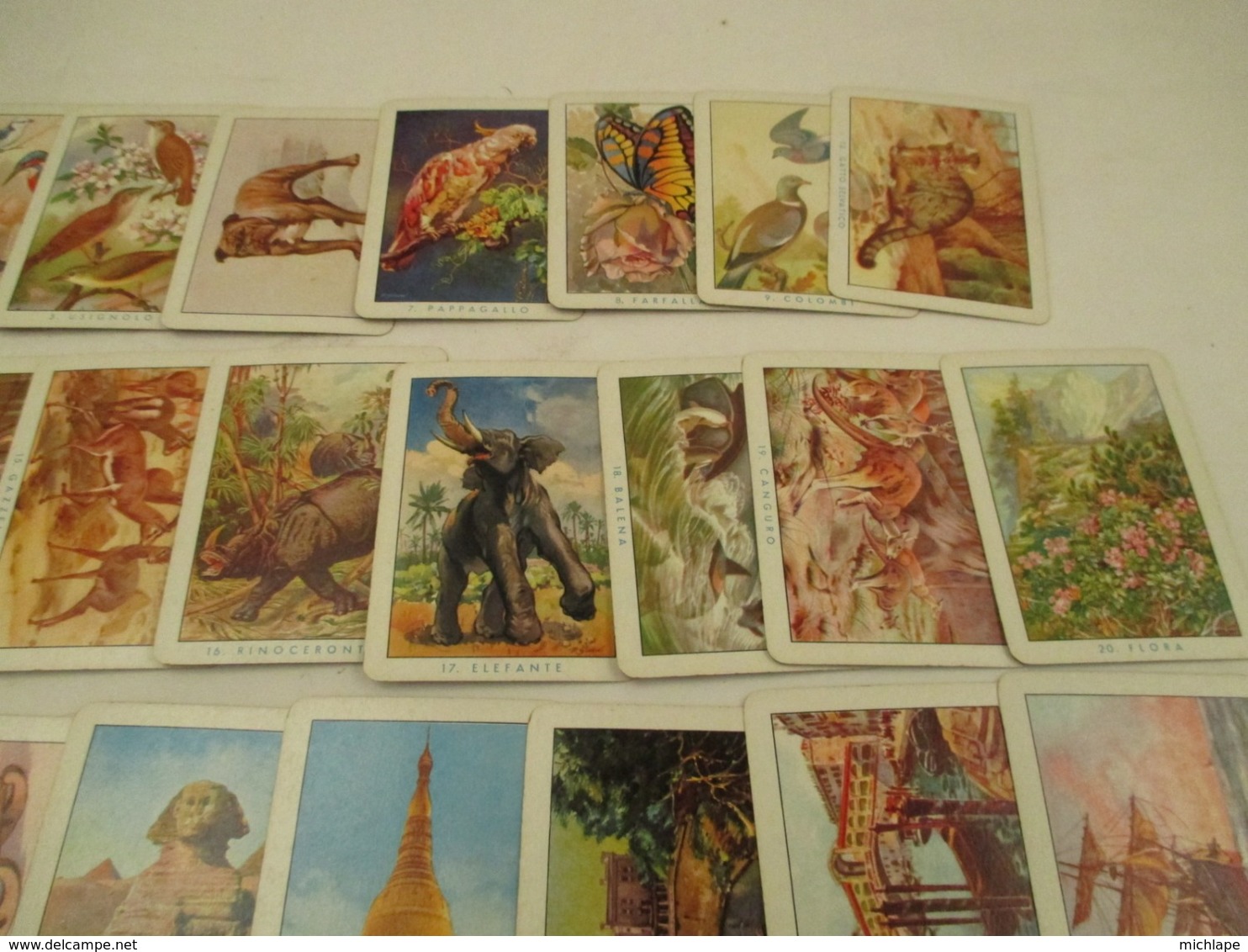 VOYANCE-CARTOMANCIE jeu de 40 cartes DIVINATOIRES de 9 cm sur 6 pas de boite