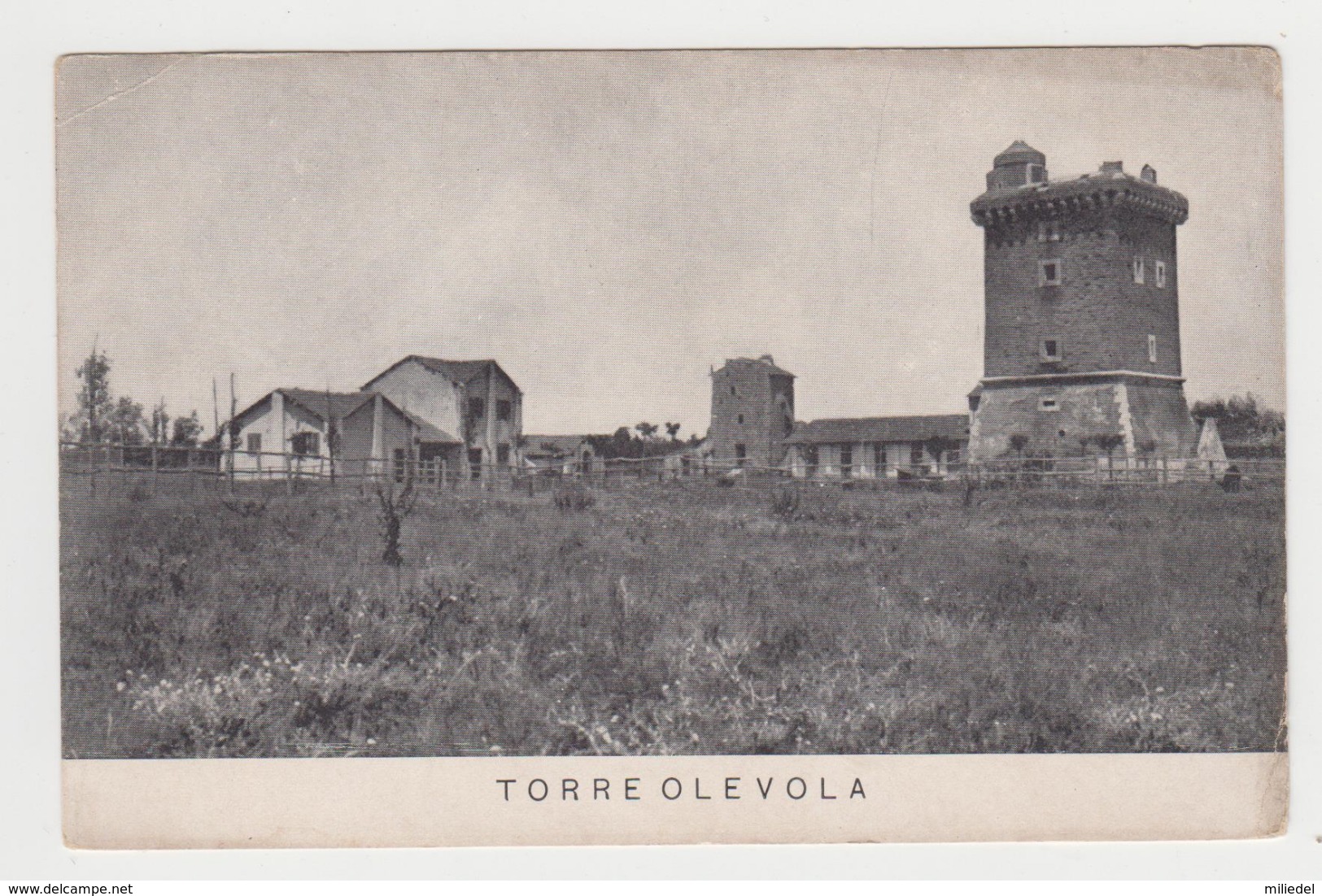 AB314 - ITALIE - LATINA - TORRE OLEVOLA - Vue Partielle - Latina