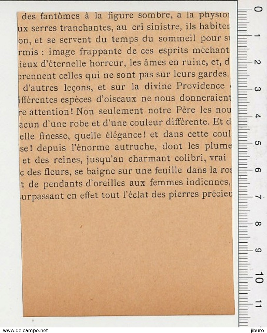 Petite Gravure De 1894 Animal écureuil Sur Un Tronc D'abre Squirrel  226ME - Zonder Classificatie