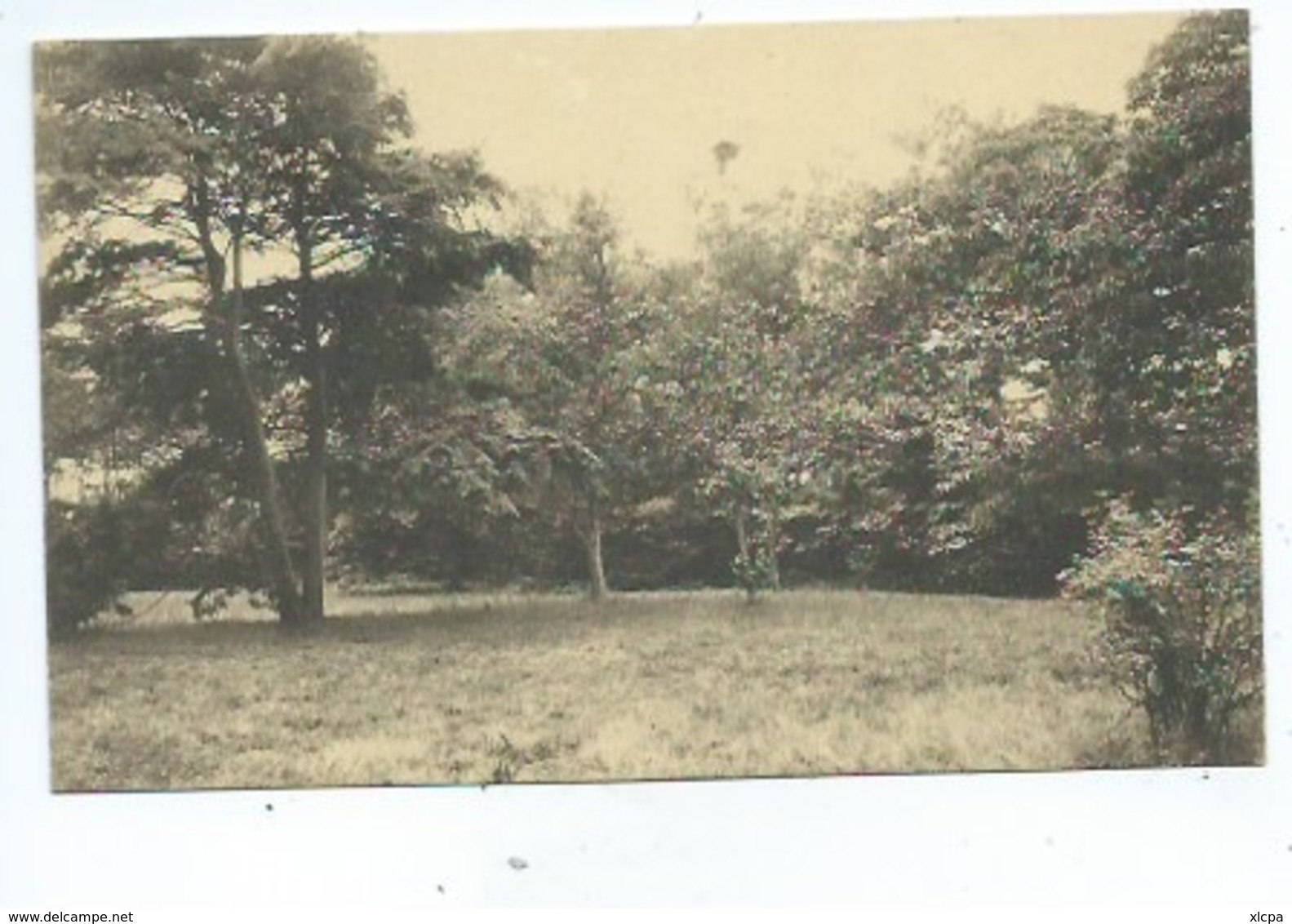 Keerbergen Un Coin Du Parc De L'Hôtel Des Lierres - Braine-le-Château