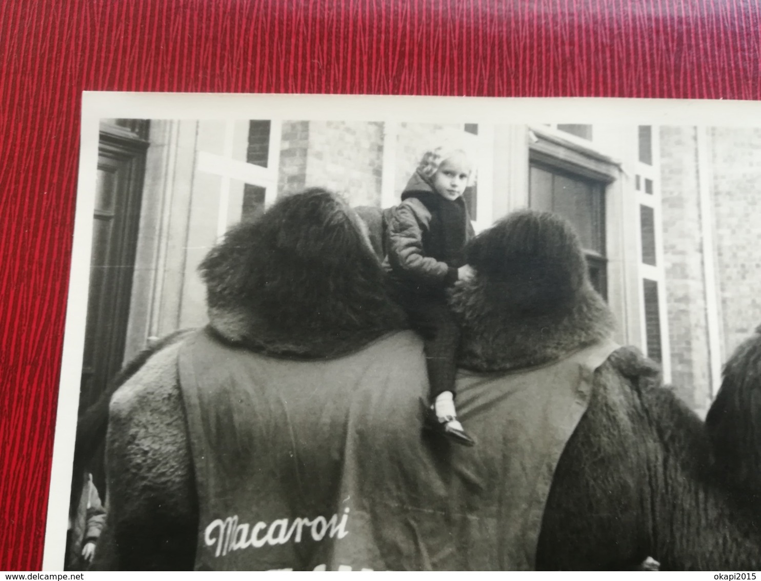 ENFANT SUR UN CHAMEAU DANS UNE COUR DE RÉCRÉATION ÉCOLE DE BELGIQUE  UNE  PHOTO ORIGINAL - Personnes Anonymes