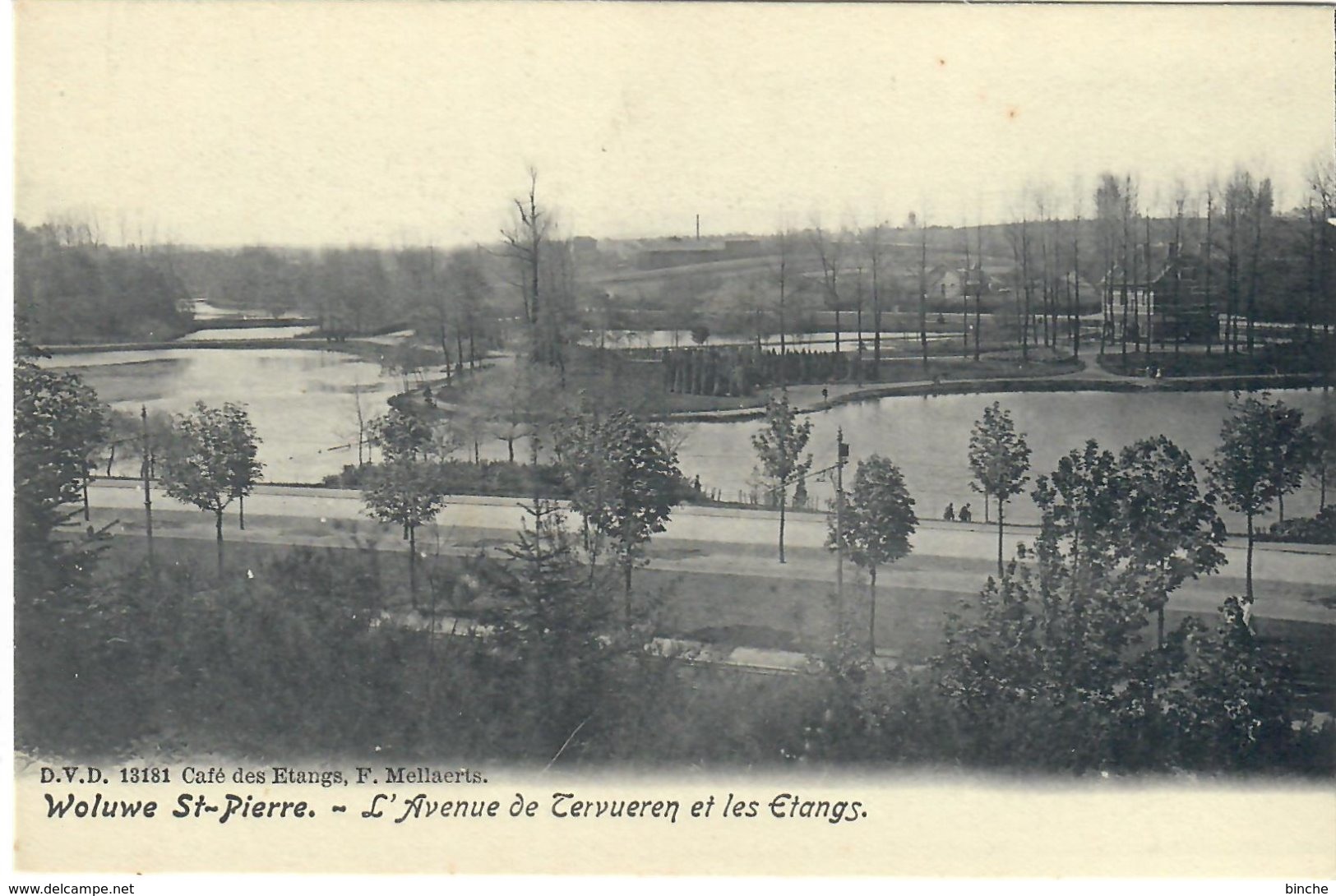 Woluwe-Saint-Pierre L'Avenue De Tervueren Et Les étangs D.V.D 13181 - Woluwe-St-Pierre - St-Pieters-Woluwe