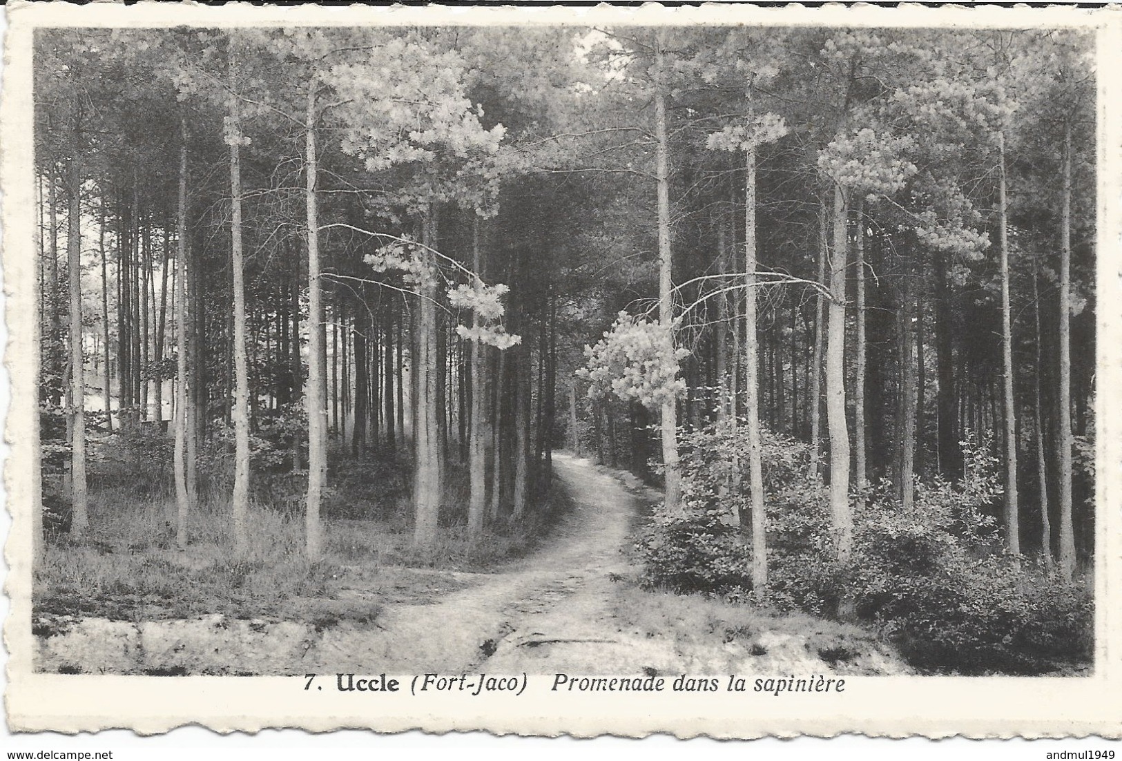 UCCLE-UKKEL - Fort-Jaco - Promenade Dans La Sapinière - N'a Pas Circulé - Uccle - Ukkel