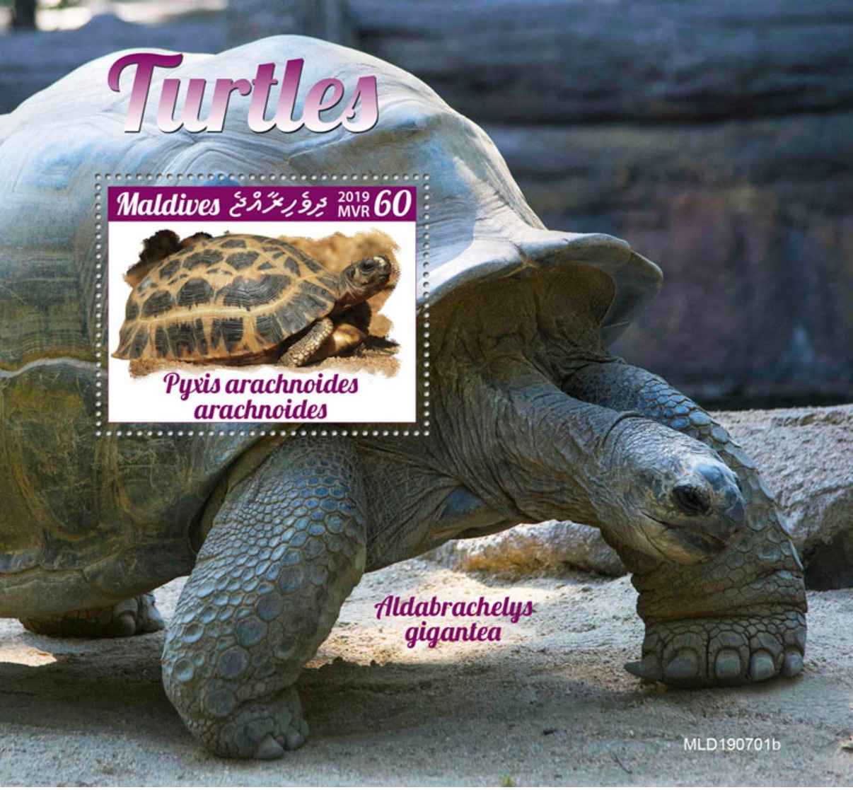Maldives 2019 Turtles Fauna Turtle S/S MLD190701 - Otros & Sin Clasificación