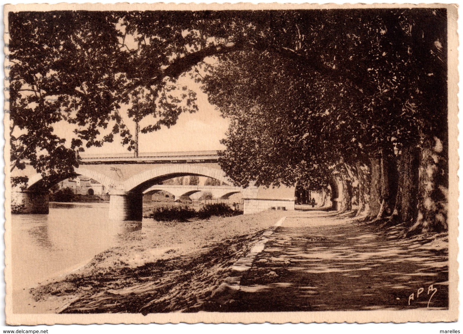 CPA Béziers 34. Les Bords De L'Orb, Dentelée, 1945 - Beziers