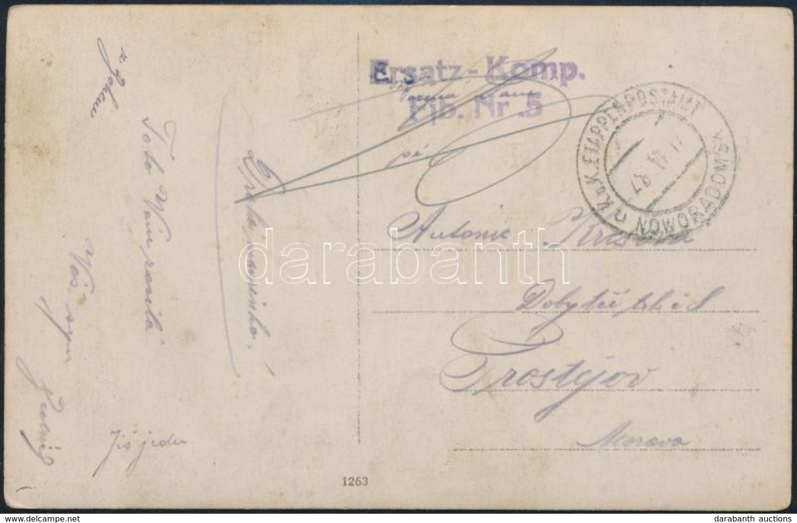 1917 Tábori Posta Képeslap / Field Postcard 'Ersatz-Komp. Fjb. Nr.5.' + 'EP NOWORADOMSK' - Autres & Non Classés