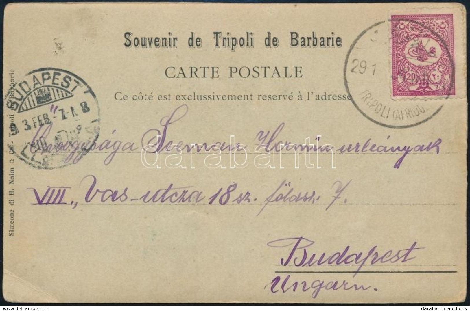 1903 Fotóképeslap Afrikáról Budapestre / Photo Postcard 'TRIPOLI (AFRICA)' To Budapest - Autres & Non Classés
