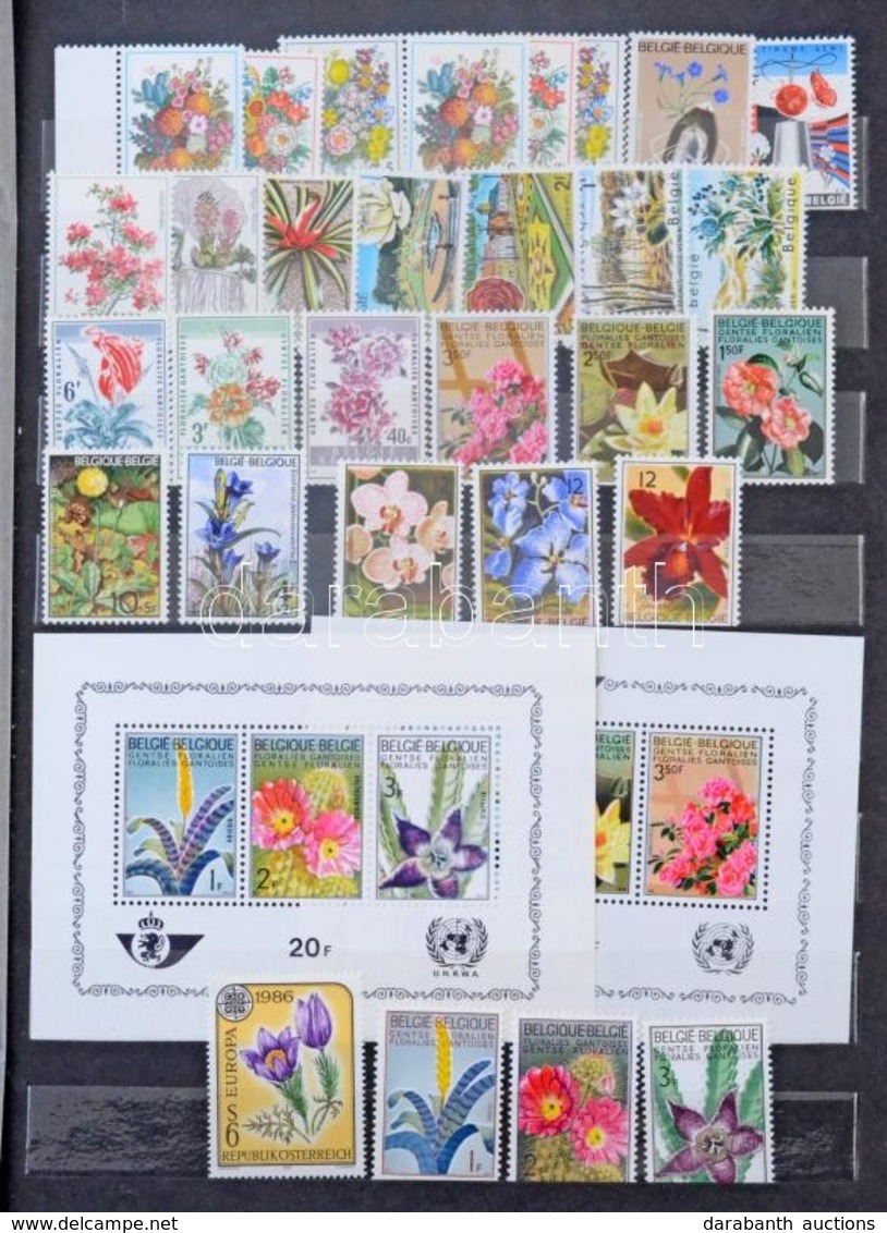 ** O Virág Motívum Kb 800 Db Bélyeg és 3 Blokk, Főleg Európai Gyűjtemény A4-es Berakóban / Flower Motif Ca. 800 Stamps A - Sonstige & Ohne Zuordnung