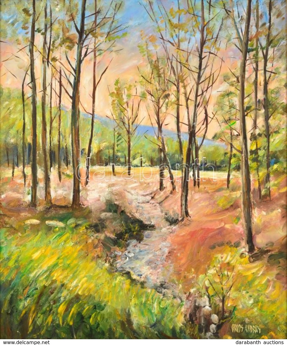 Orvos András (1939-): Börzsöny. Olaj, Farost, Jelzett, Keretben, 60×50 Cm - Autres & Non Classés