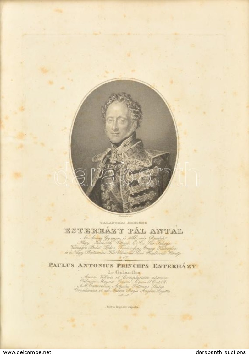 Esterházy Pál Antal Herceg (1786-1866) Király Személye Körüli Miniszter Rézmetszetű Portréja. 28x20 C, Üvegezett Keretbe - Stiche & Gravuren