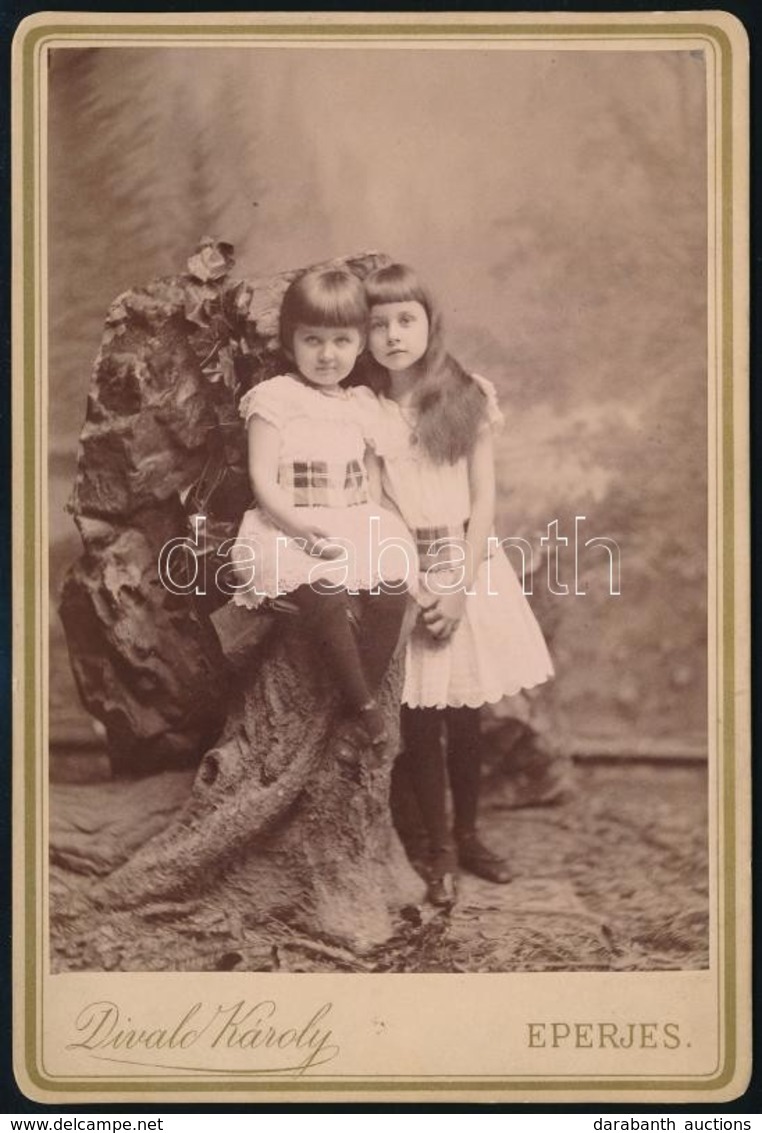 Cca 1888 Gróf Alberty Alice és Ella, Divald Károly (1830-1897) Eperjesi Fényképész Műtermében Készült, Kabinetfotó Méret - Sonstige & Ohne Zuordnung