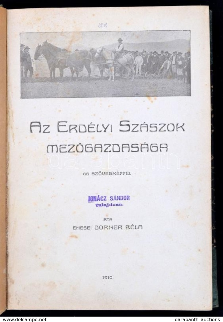 Enesei Dorner Béla: Az Erdélyi Szászok Mezőgazdasága. (Győr, 1910, Pannonia-ny.,) 4+336 P. Szövegközti Fekete-fehér Illu - Ohne Zuordnung