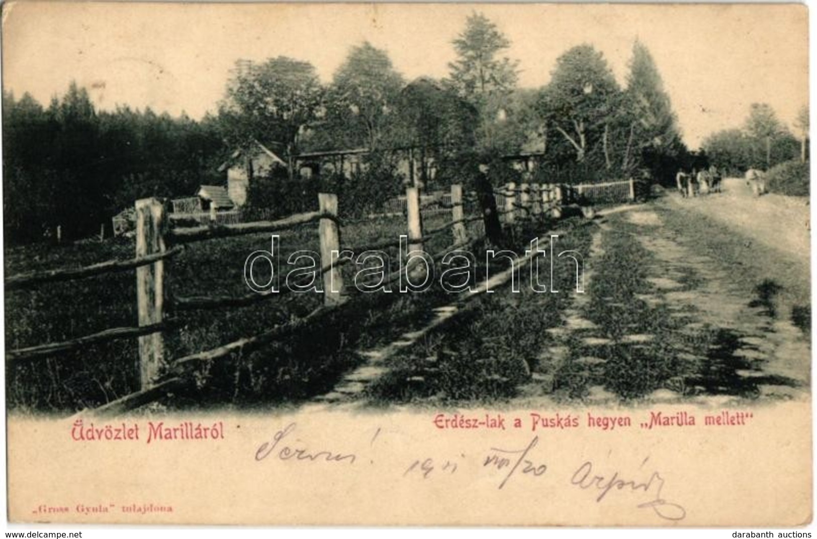 T2 1901 Marilla, Marila; Erdész Lak A Puskás-hegyen 'Marilla Mellett'. Gross Gyula Tulajdona / Forestry House - Ohne Zuordnung