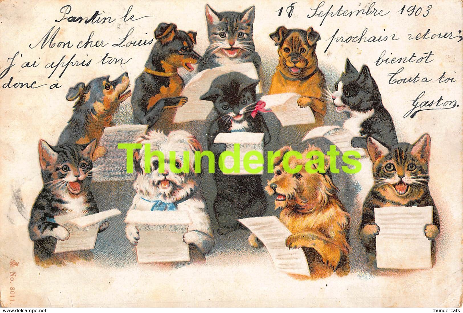 CPA LITHO 1903 CHAT CHATS CAT CATS CHIEN CHIENS DOG DOGS ( PLI D'ANGLE) HELENA MAGUIRE - Chats