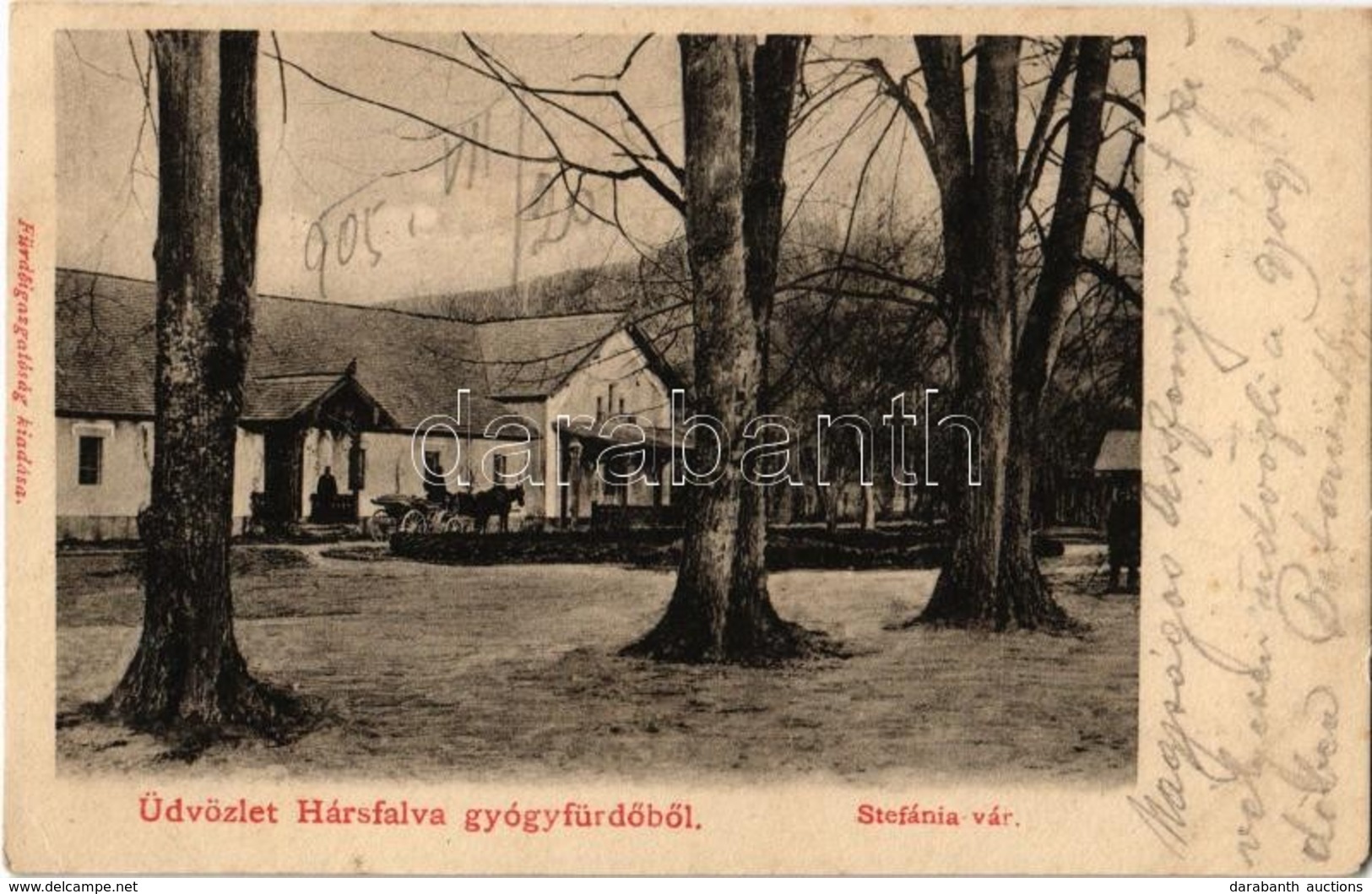 T2 1905 Hársfalva-gyógyfürdő (Szolyva), Nelipino, Nelipyno; Stefánia Vár, Lovashintó / Castle, Horse Chariot - Non Classificati