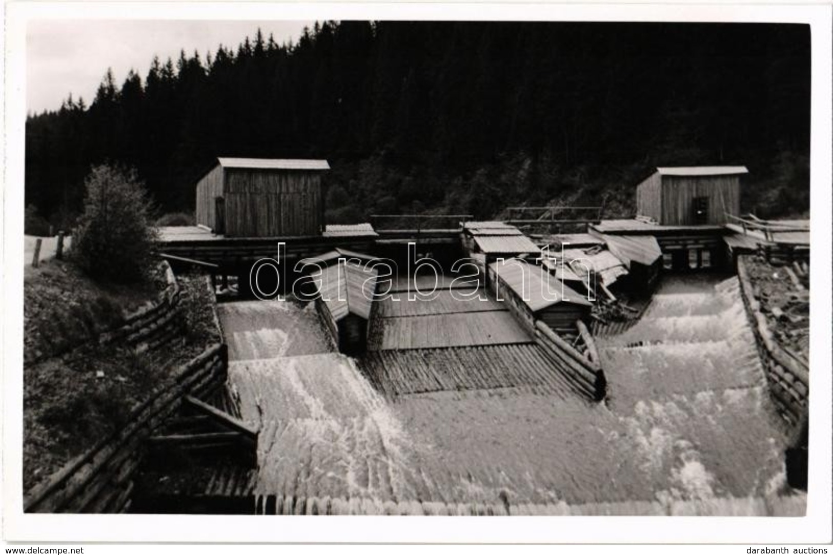 ** T1 Kőrösmező, Jaszinya, Jasina, Yasinia (Máramaros); Faúsztató /  Log Rafting. Photo - Ohne Zuordnung