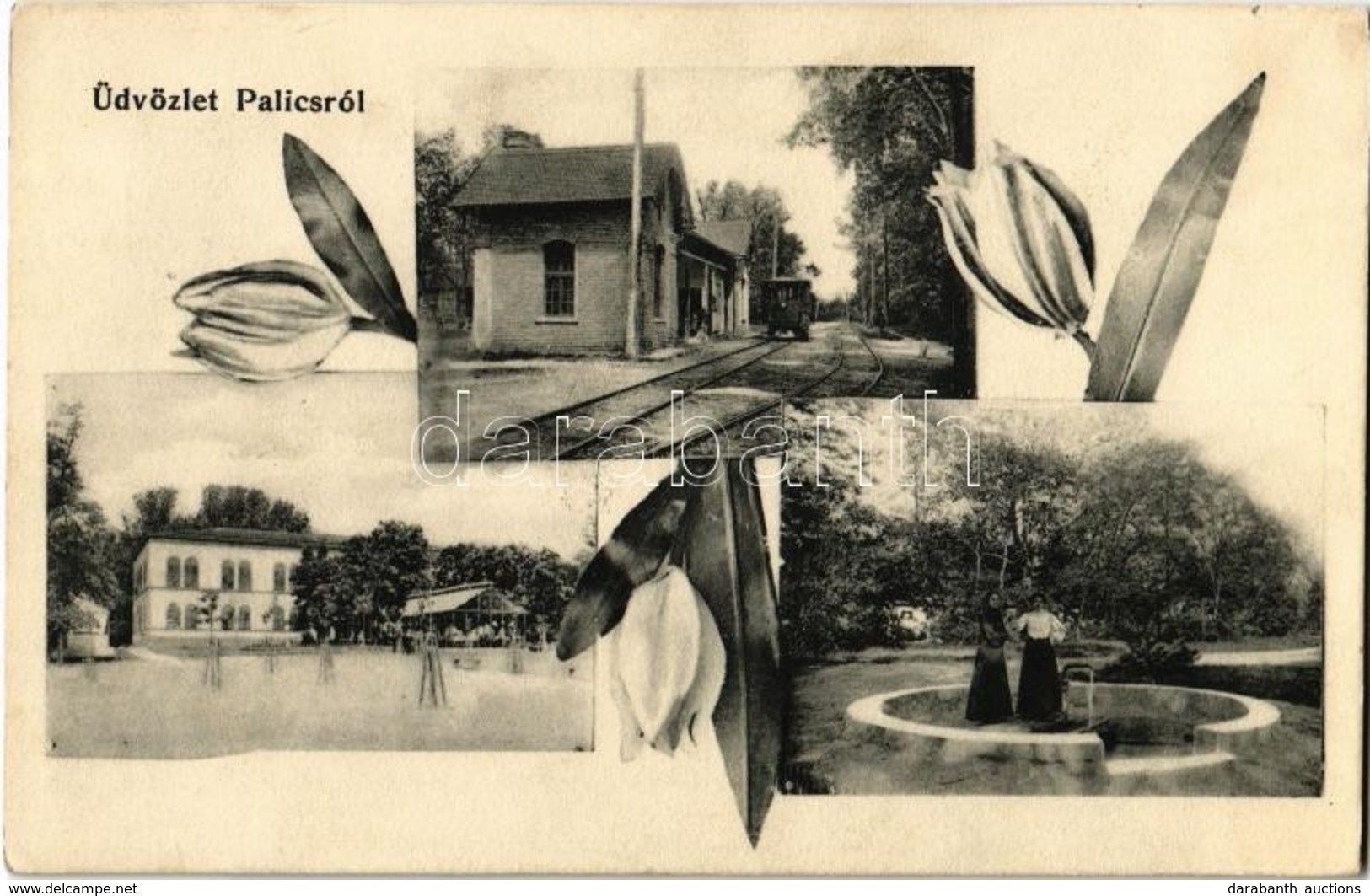 T2 1906 Palics, Palic (Szabadka, Subotica); Villamos Vasút Végállomás, Fürdő, Artézi Kút. Készült Szép Tulipános Hazánkb - Non Classés