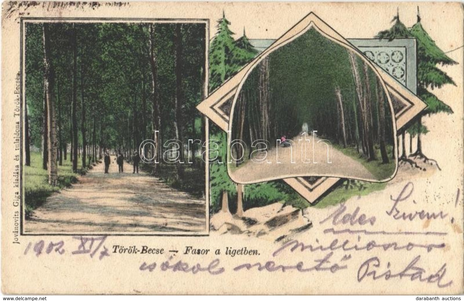 T2 1902 Törökbecse, Újbecse, Novi Becej; Fasor A Ligetben. Jovánovits Giga Kiadása / Forest Promenade. Art Nouveau - Ohne Zuordnung