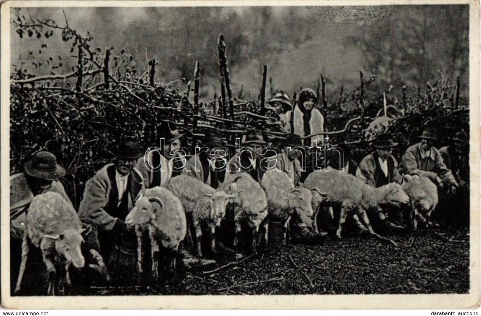 * T2/T3 1939 Kárpátaljai Folklór, Juh Fejés / Podkarpatská Rus, Dojení Ovec Na Salasi / Transcarpathian Folklore, Sheep  - Unclassified