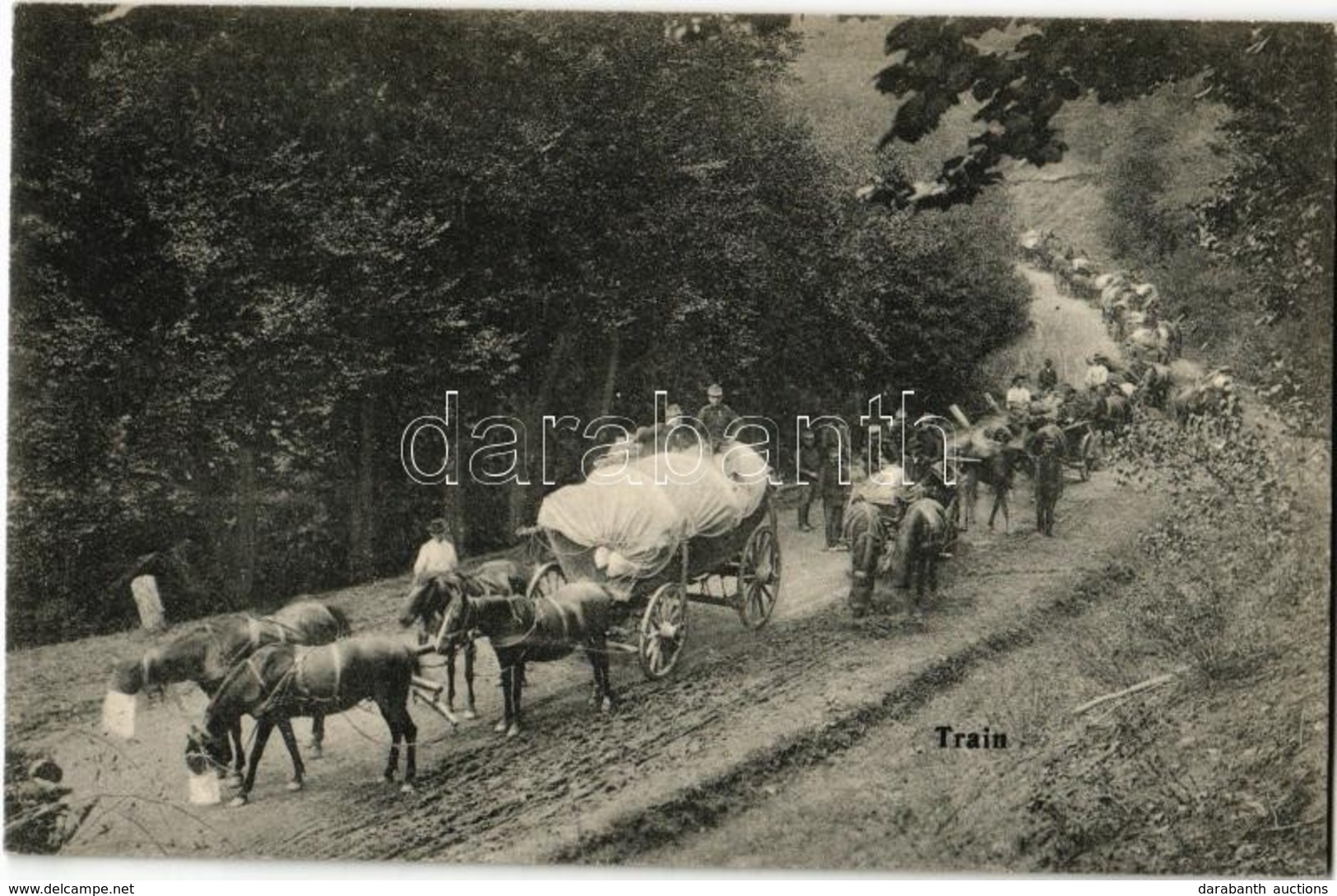 ** T1 Train. Trén (málhás Szekerek Menetoszlopa és Legénysége) Pihenő, Lovak Etetés Alatt / WWI Austro-Hungarian K.u.K.  - Non Classés