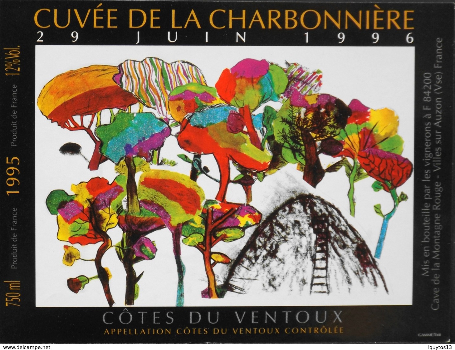 ETIQUETTE De VIN - " CÔTES Du VENTOUX 1996 " - Cuvée De La Charbonnière 12° - 75cl - Parfait Etat - Côtes Du Ventoux