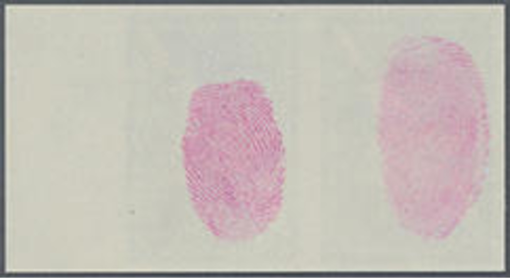 1973, 8 C. Abrüstungsdekade Im Postfrischen Ungezähnten Senkr. Unterand-Paar, Gummiseitig übl. Roter Security-Fingerabdr - Sonstige & Ohne Zuordnung