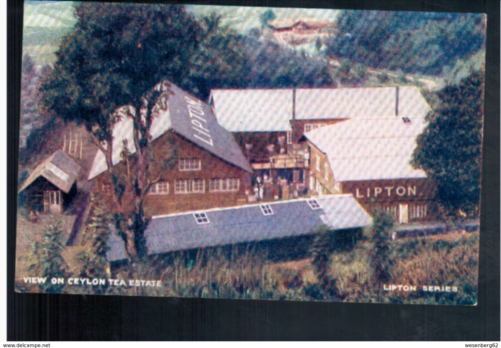 CEYLON Liptons Tea Series - View On Ceylan Tea Estate  Old Postcard - Sri Lanka (Ceylon)