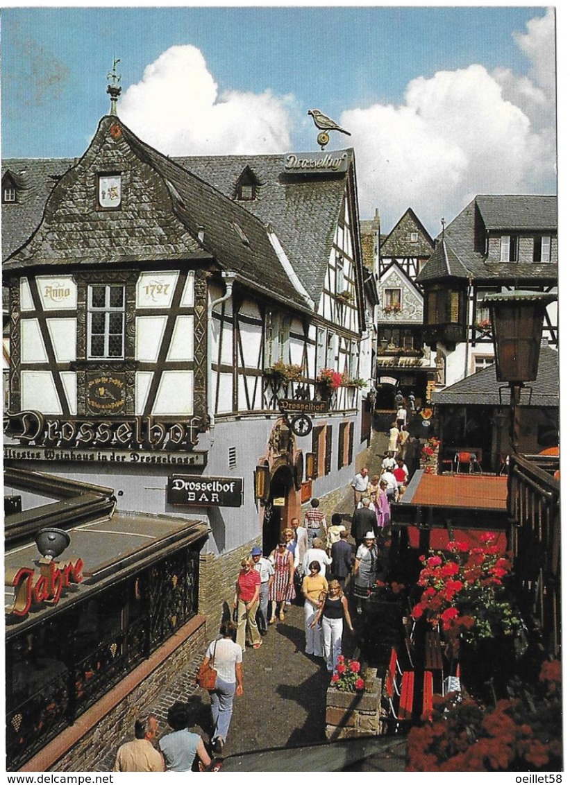 Carte Postale - ALLEMAGNE - Rüdesheim Am Rhein - Rheingau