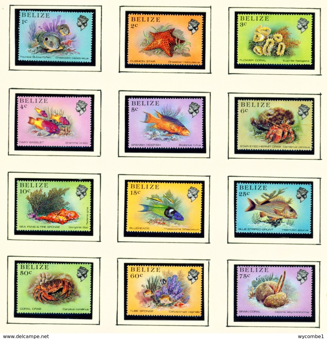 BELIZE  -  1984 Marine Life Definitives Set Unmounted/Never Hinged Mint - Belize (1973-...)