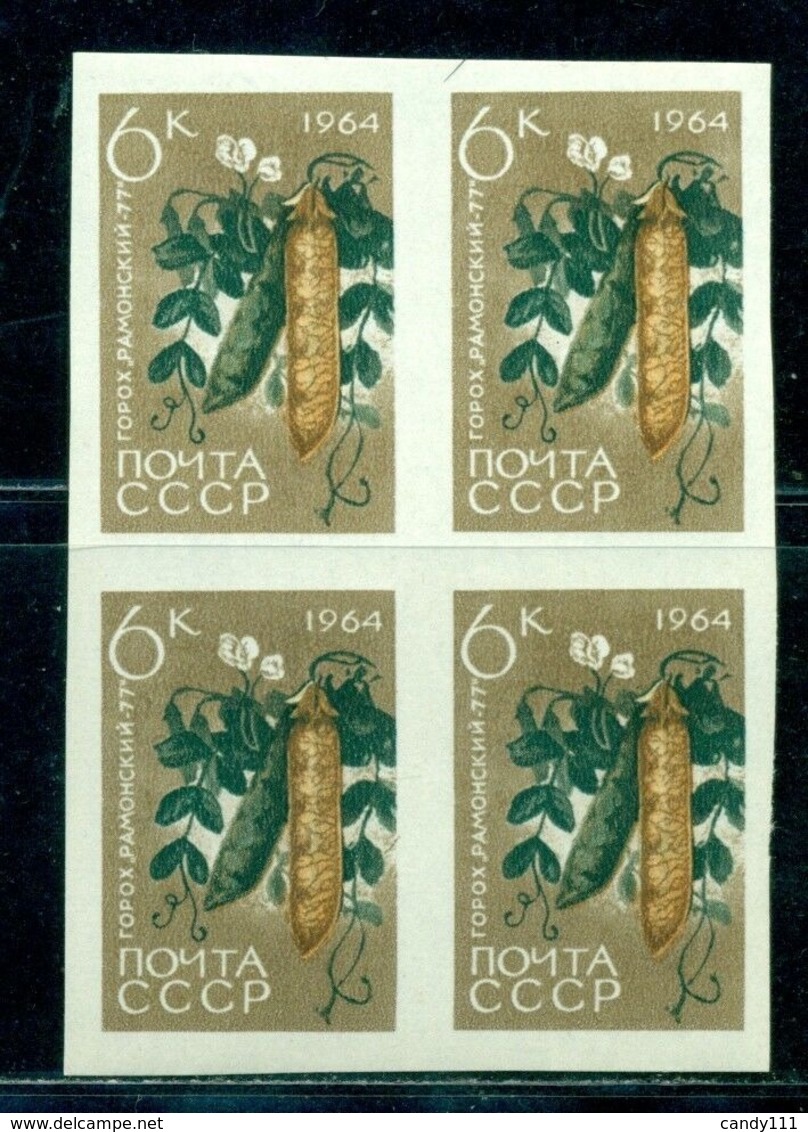 1964 Pea,garden Pea,gartenerbse,Pisum Sativum,Russia,2925 B,Imperforated,MNH,x4 - Groenten