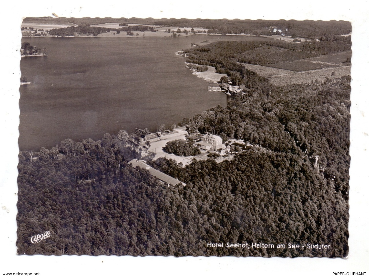 4358 HALTERN, Seehof, Luftaufnahme, 1959 - Haltern